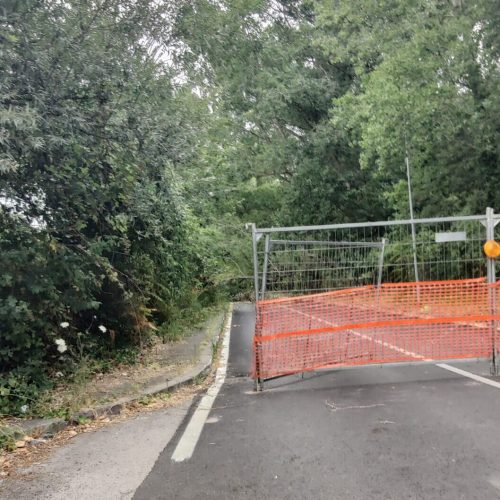 Un albero cade, Roma si ferma